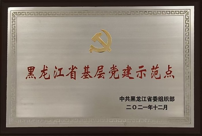 黑龙江省基层党建示范点